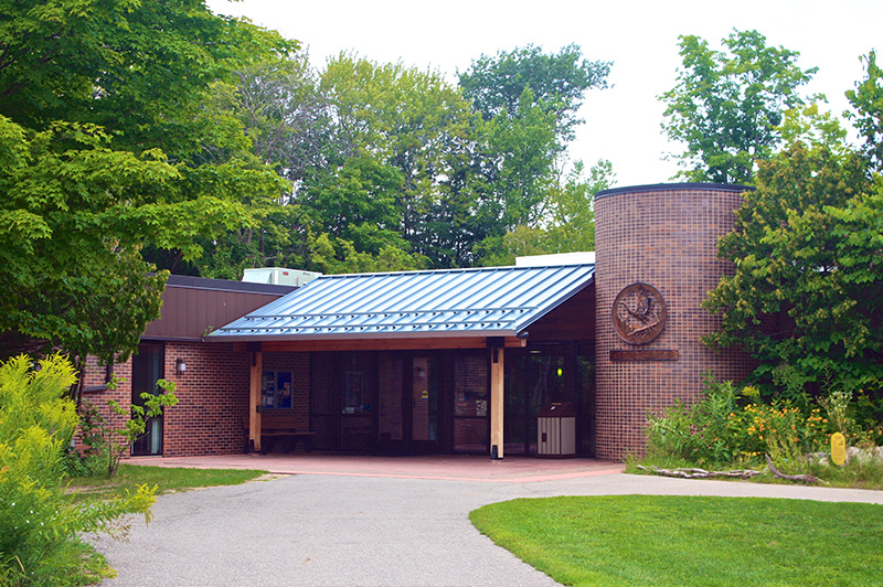 Chippewa Trail