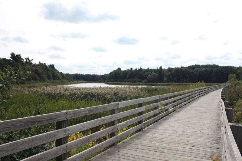 Lakeshore Trail